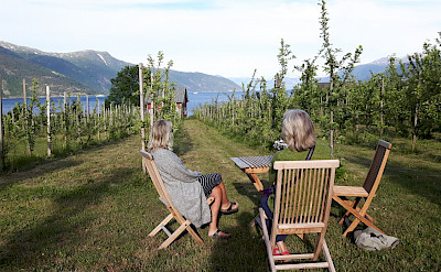 Bike rest at an Apple Orchard in Norway. Photo via TO.