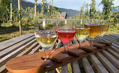 Cider tasting in Balestrand, Norway. Photo via TO.