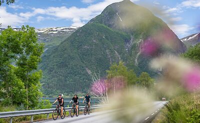 Fjord biking in Sognefjorden, Norway!