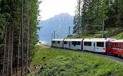 Bernina Pass train in Switzerland. Flickr:Dennis Jarvis
