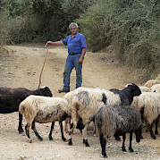 Island of Crete Photo