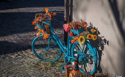Biking through Bad Wimpfen, Germany. Flickr:Gerhard Hölzel
