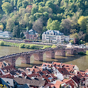 Ludwigsburg to Mainz Photo