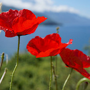 Magnificent Macedonia Photo