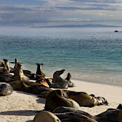 Ilhas de Galápagos de Bicicleta e Barco Foto