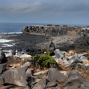 Galapagos Bike and Boat Photo
