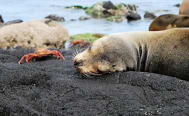 Galapagos Bike & Boat