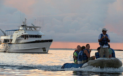 Beluga passengers heading for land | Bike & Boat Tours