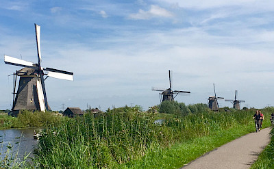 Windmills aplenty on this Amsterdam to Bruges Bike Tour. Photo by Regina Losinger