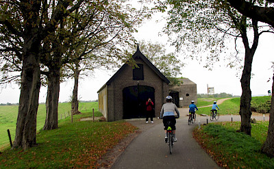 Cycling near Tholen in Zeeland, the Netherlands. Flickr:Don Heffernan