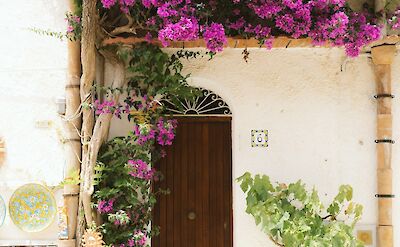 Bougainvillea and handcrafted Sicilian ceramics. unsplash:JoshWithers