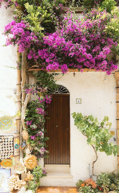 Bougainvillea and handcrafted Sicilian ceramics. unsplash:JoshWithers