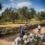 Puglia - Heel of Italy Photo