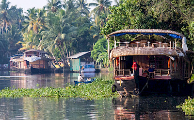 Backwaters of Alleppey, Kerala, India. Flickr:SilverBlu3