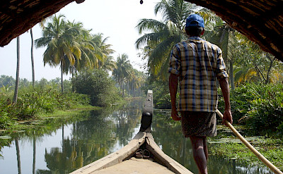 Cruising the river in Kerala, India. Flickr:Fraboof