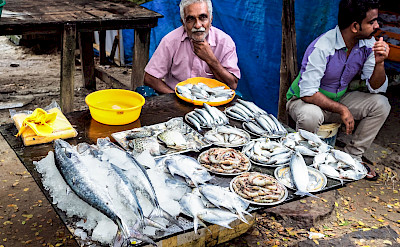 Fresh fish in Kochi, Kerala, India. Flicks:Dunphasizer