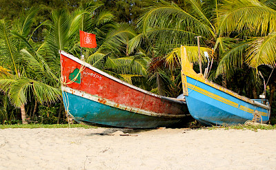 Boat rides at Marari Beach in Kerala, India. Flickr:Andy Kaye