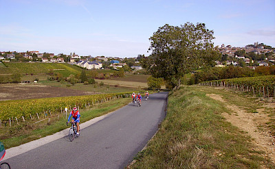 Cycling past vineyards in Sancerre, Loire Valley, France. Flickr:JPC24M