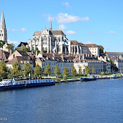 Northern Burgundy Photo