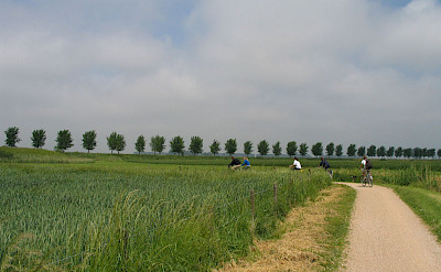 Biking the quiet paths in West Flanders, Belgium. Flickr:CSBelgium