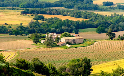 Vast vineyard estates cover the landscape from Burgundy to Provence, France.