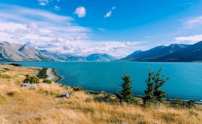 View of Lake Ohau, New Zealand. Unsplash@Sulthan Auliya