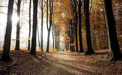 Autumn in Leuven, Belgium. Ingmar Larsen@Unsplash