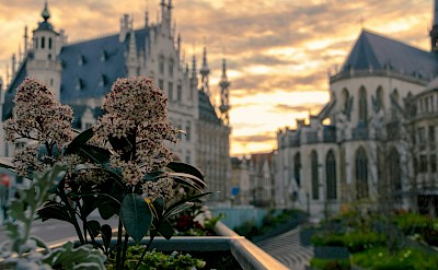 Rector De Somerplein, Leuven, Belgium. Thomas Bormans@Unsplash