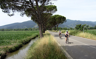 Biking the countryside on the Venice to Florence Italy tour.
