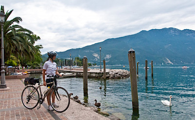Overlooking Lake Garda in Italy. Photo via TO