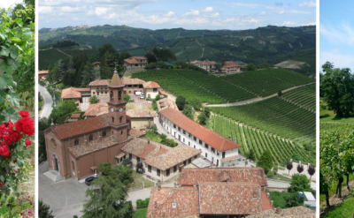 Vines and wines await in Veneto, Italy. Photo via TO