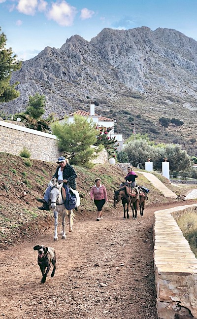 Villagers on Hydra, Greece. Unsplash@Despina Galani
