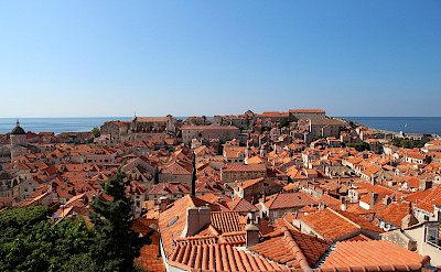 Dubrovnik's famous orange roofs overlooking the Adriatic Sea in Croatia. Flickr:csw27