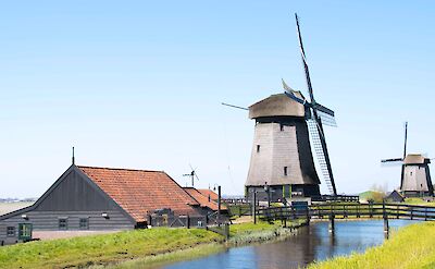 Schermerhorn Windmills! | Photo from TO