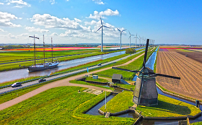 Leafde fan Frysl&acirc;n sailing through tulip fields in North Holland | Photo from TO