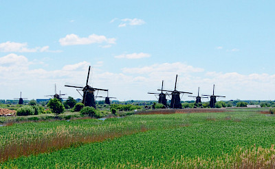 Windmills dot the landscape in Holland.