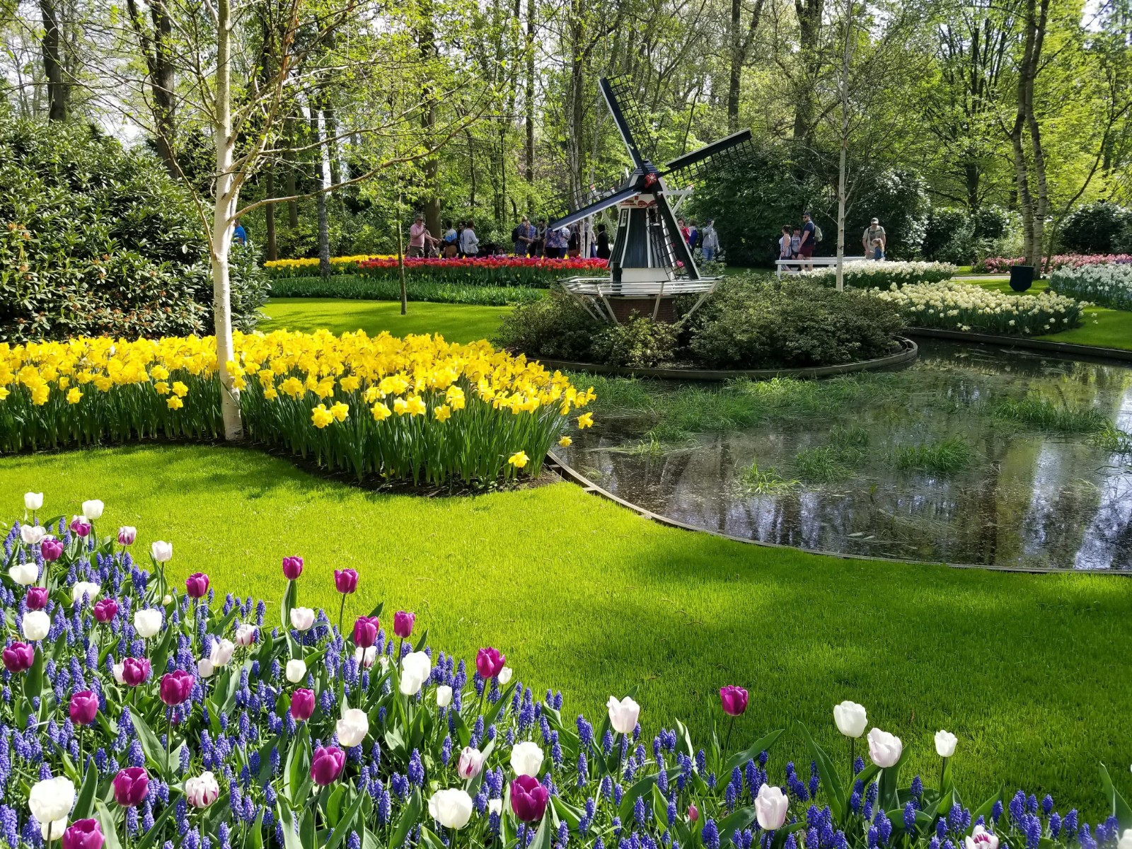 Keukenhof - 8 day tulip tour - Tripsite.com