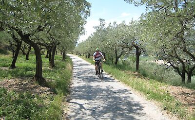 Classic Tuscany e-bike tour. toCE