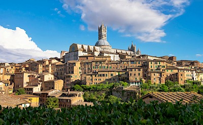 Siena, Italy bicycle tour. unsplash@AlessandroRossi