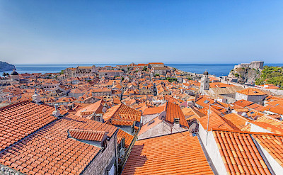 Characteristic red roofs of Dubrovnik, Croatia. Flickr:Arnie Papp 