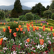Ring of Kerry Photo