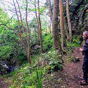 The Green Island of the Azores Archipelago Photo
