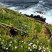 The Green Island of the Azores Archipelago Photo