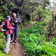 The Green Island of the Azores Archipelago Photo
