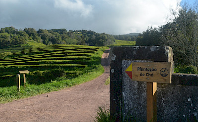 Sao Miguel Island, Azores, Portugal Hiking Tour. Flickr:Pedro