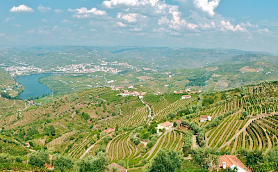 Great pano of the Douro River Valley and all its vineyards. Flickr:Francois Philipp
