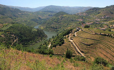 Douro Valley in Portugal. Flickr:Jonathan Pincas