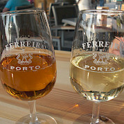 Douro Valley Vineyards Photo
