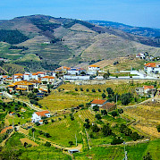 Douro Valley Vineyards Photo