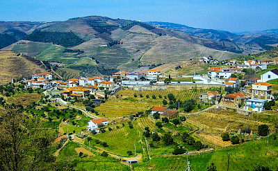 Vale de Mendiz in Pinhao, Portugal. 
